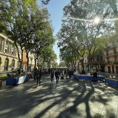 Excellence Tarragona